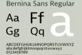 Bernina Sans