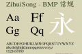 ZihuiSong - BMP