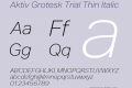 Aktiv Grotesk Trial