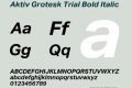 Aktiv Grotesk Trial