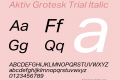 Aktiv Grotesk Trial