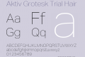 Aktiv Grotesk Trial