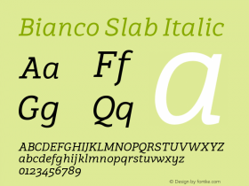 Bianco Slab