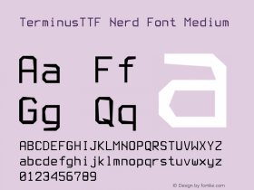 TerminusTTF Nerd Font