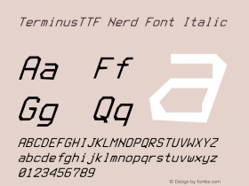 TerminusTTF Nerd Font