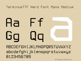 TerminusTTF Nerd Font Mono