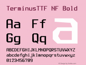 TerminusTTF NF