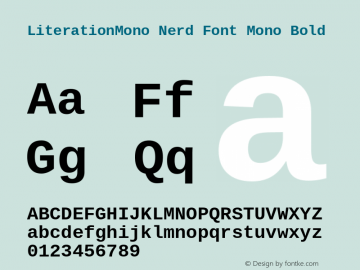 LiterationMono Nerd Font Mono