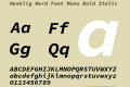 Hasklig Nerd Font Mono