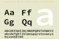 Hasklig Nerd Font Mono