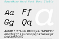 SpaceMono Nerd Font Mono