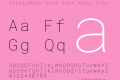 RobotoMono Nerd Font Mono