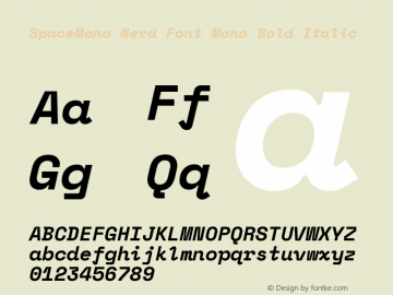 SpaceMono Nerd Font Mono