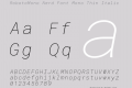 RobotoMono Nerd Font Mono