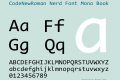 CodeNewRoman Nerd Font Mono