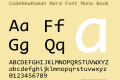 CodeNewRoman Nerd Font Mono