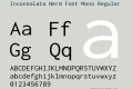 Inconsolata Nerd Font Mono