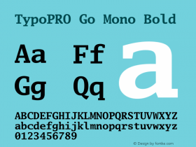 TypoPRO Go Mono