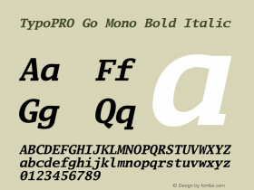 TypoPRO Go Mono