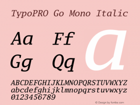 TypoPRO Go Mono