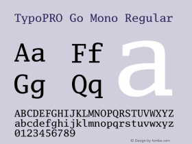 TypoPRO Go Mono