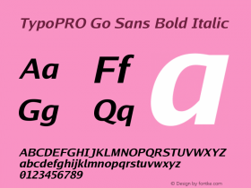 TypoPRO Go Sans