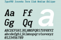 TypoPRO Iosevka Term Slab