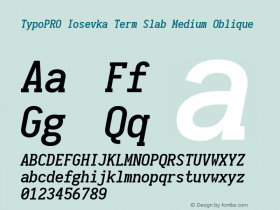 TypoPRO Iosevka Term Slab