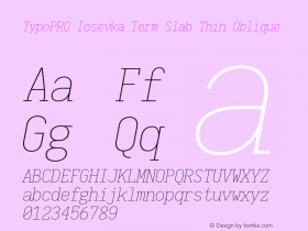 TypoPRO Iosevka Term Slab