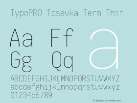 TypoPRO Iosevka Term