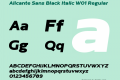 Alicante Sans Black Italic W01