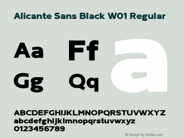 Alicante Sans Black W01