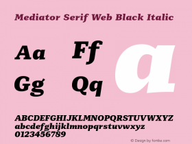 Mediator Serif Web