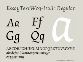 EssayTextW03-Italic