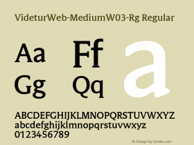 VideturWeb-MediumW03-Rg