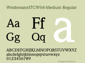 WeidemannITCW04-Medium