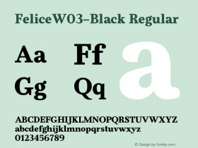 FeliceW03-Black