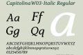 CapitolinaW03-Italic