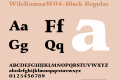 WileRomanW04-Black