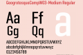 GeogrotesqueCompW03-Medium