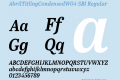 AbrilTitlingCondensedW04-SBI