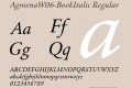 AgmenaW06-BookItalic