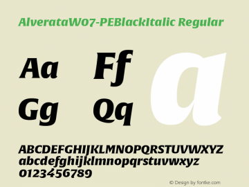 AlverataW07-PEBlackItalic