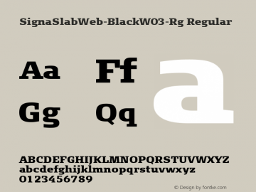 SignaSlabWeb-BlackW03-Rg