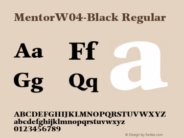 MentorW04-Black