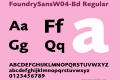 FoundrySansW04-Bd