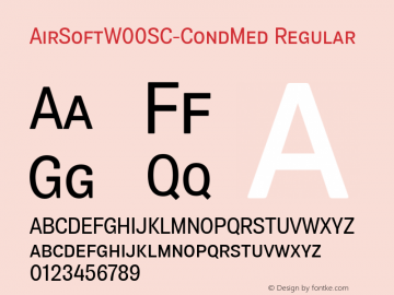 AirSoftW00SC-CondMed