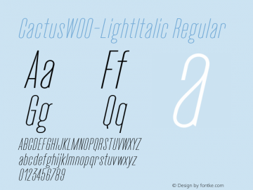 CactusW00-LightItalic