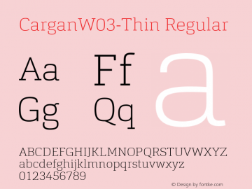 CarganW03-Thin