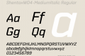 ShentoxW04-MediumItalic